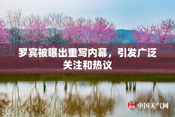 罗宾被曝出重写内幕，引发广泛关注和热议