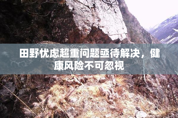 田野忧虑超重问题亟待解决，健康风险不可忽视