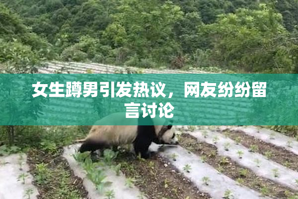 女生蹲男引发热议，网友纷纷留言讨论