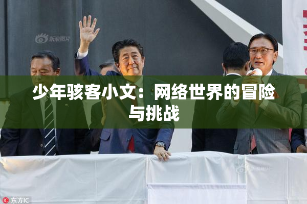 少年骇客小文：网络世界的冒险与挑战
