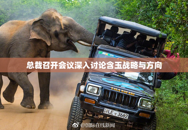 总裁召开会议深入讨论含玉战略与方向