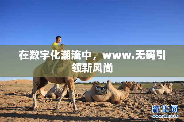 在数字化潮流中，www.无码引领新风尚