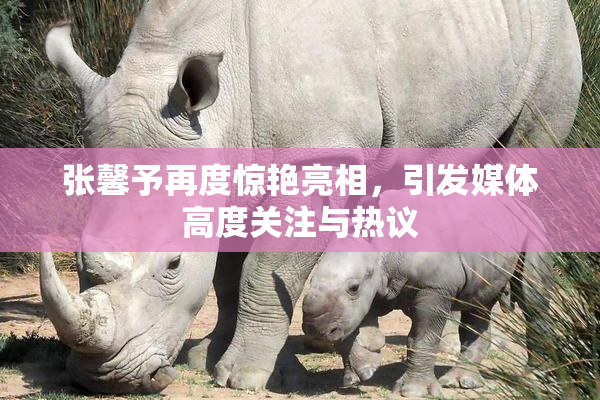 张馨予再度惊艳亮相，引发媒体高度关注与热议