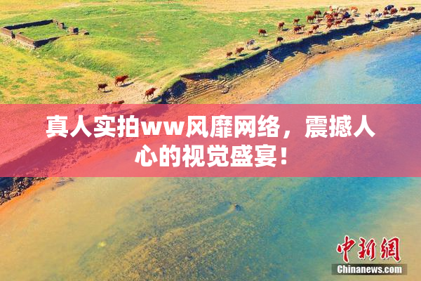 真人实拍ww风靡网络，震撼人心的视觉盛宴！