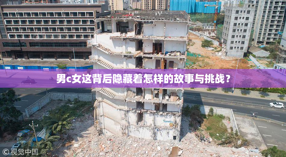 男c女这背后隐藏着怎样的故事与挑战？