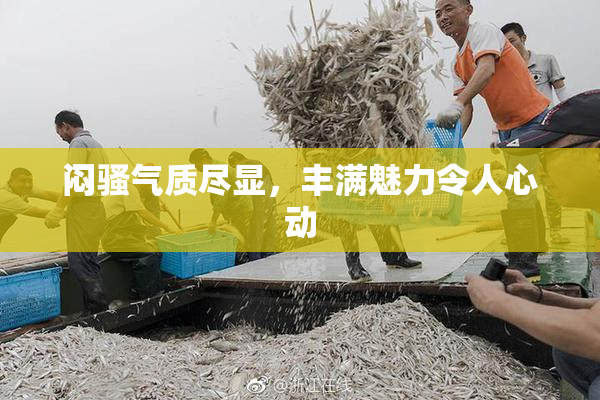 闷骚气质尽显，丰满魅力令人心动