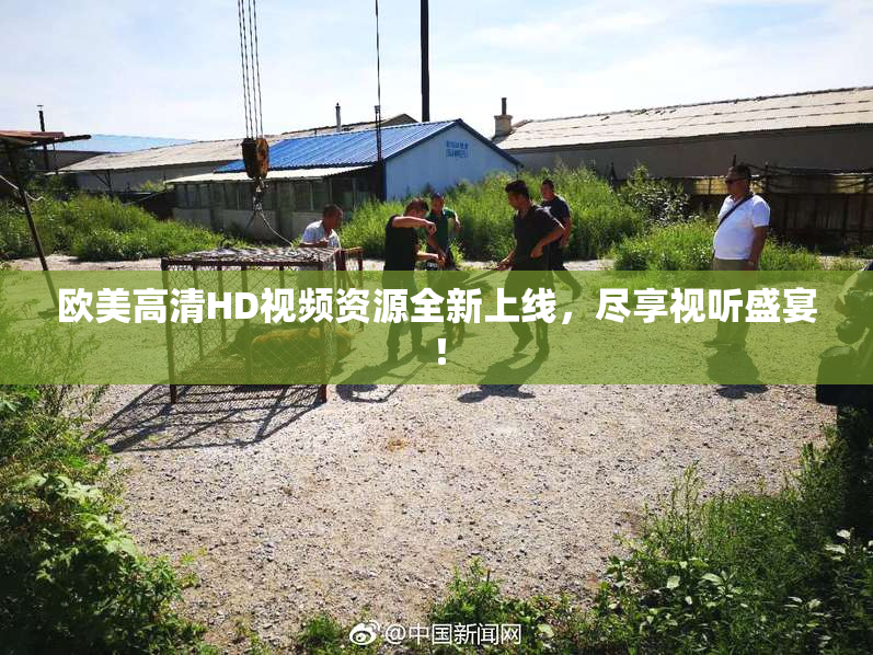 欧美高清HD视频资源全新上线，尽享视听盛宴！