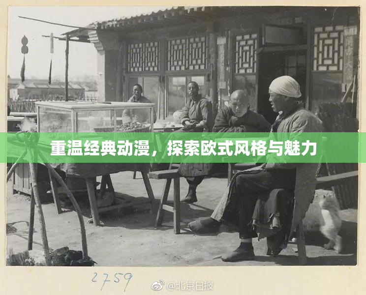 重温经典动漫，探索欧式风格与魅力