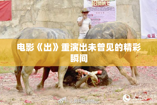 电影《出》重演出未曾见的精彩瞬间
