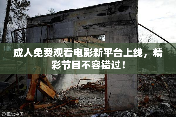成人免费观看电影新平台上线，精彩节目不容错过！