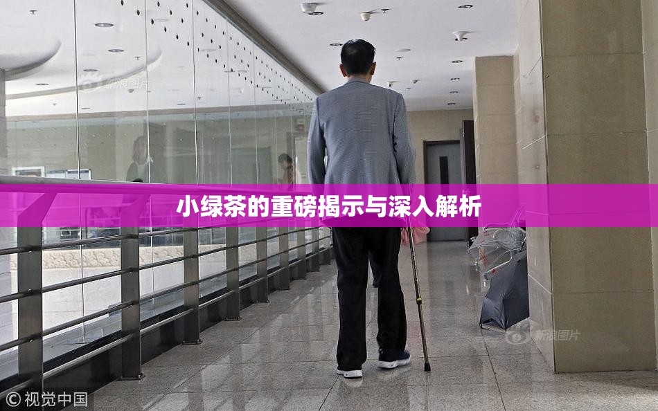 小绿茶的重磅揭示与深入解析