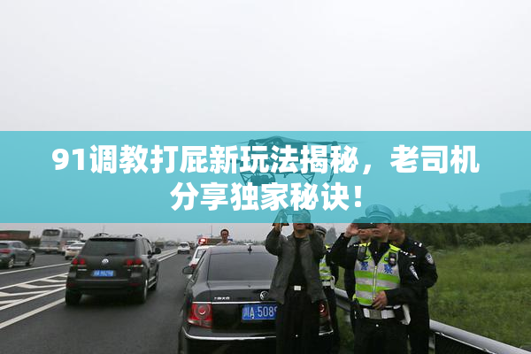 91调教打屁新玩法揭秘，老司机分享独家秘诀！