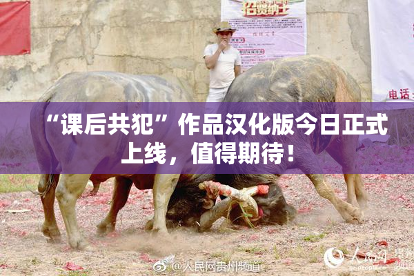 “课后共犯”作品汉化版今日正式上线，值得期待！