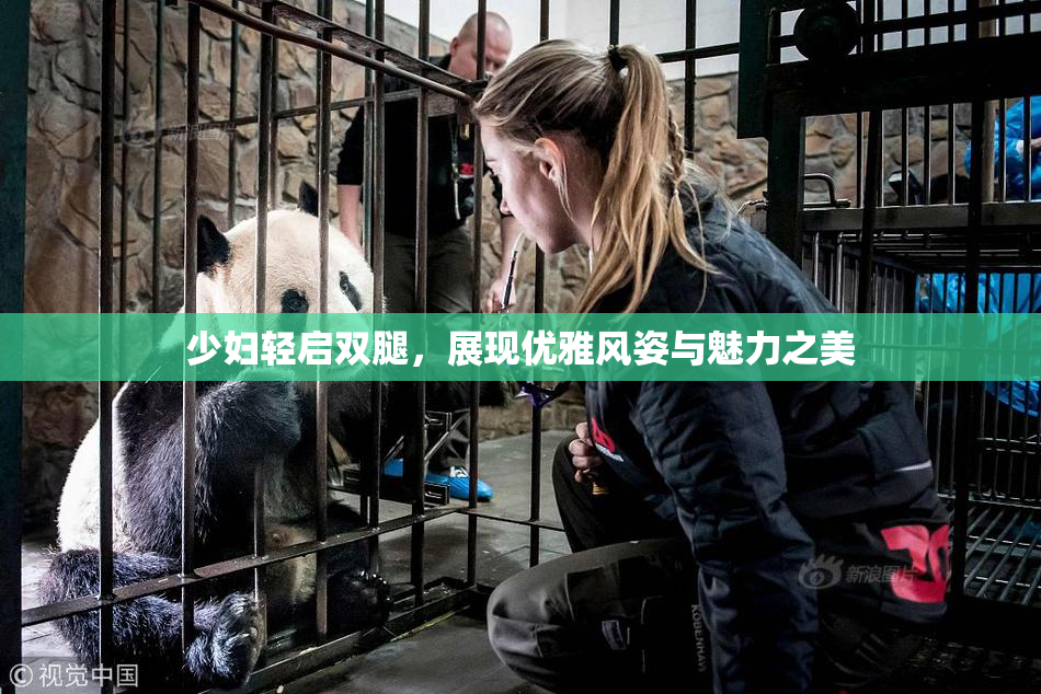 少妇轻启双腿，展现优雅风姿与魅力之美
