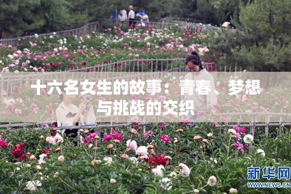 十六名女生的故事：青春、梦想与挑战的交织