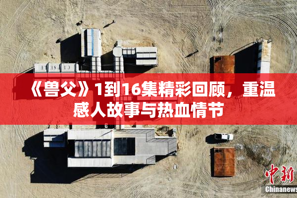 《兽父》1到16集精彩回顾，重温感人故事与热血情节