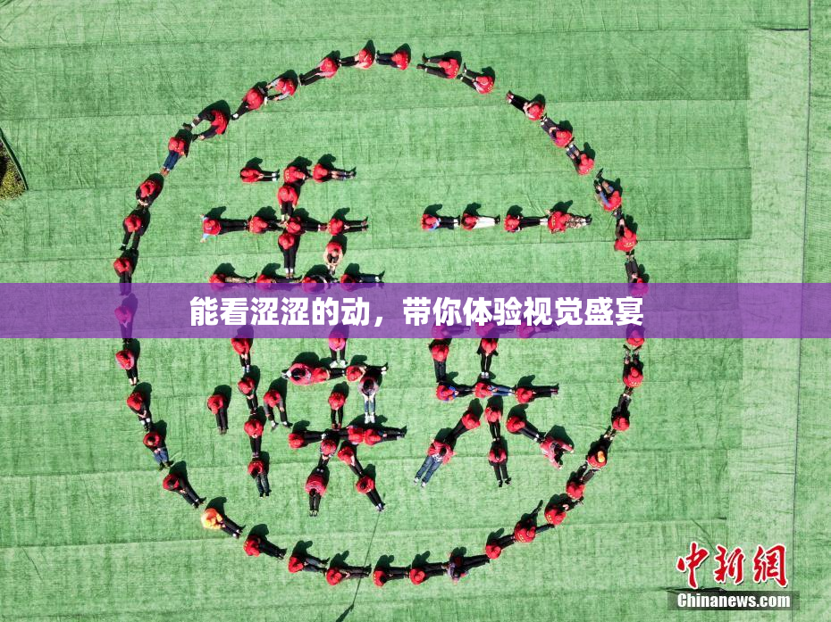 能看涩涩的动，带你体验视觉盛宴