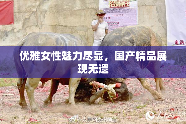 优雅女性魅力尽显，国产精品展现无遗