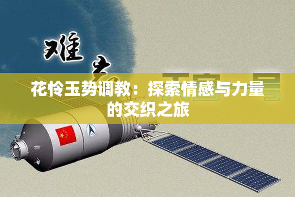 花怜玉势调教：探索情感与力量的交织之旅