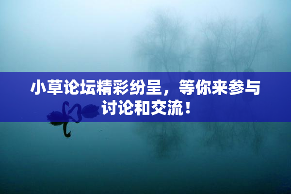 小草论坛精彩纷呈，等你来参与讨论和交流！