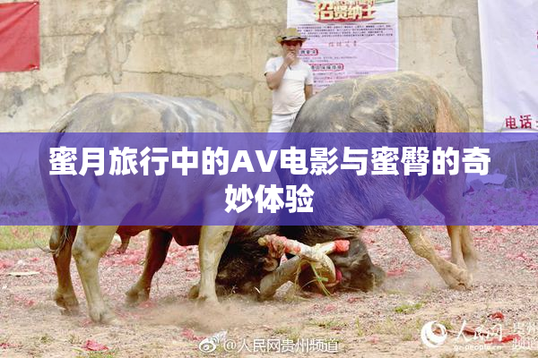 蜜月旅行中的AV电影与蜜臀的奇妙体验