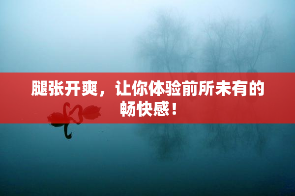 腿张开爽，让你体验前所未有的畅快感！