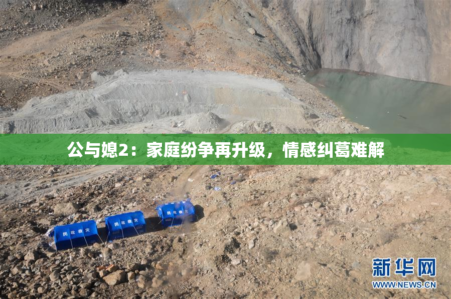 公与媳2：家庭纷争再升级，情感纠葛难解