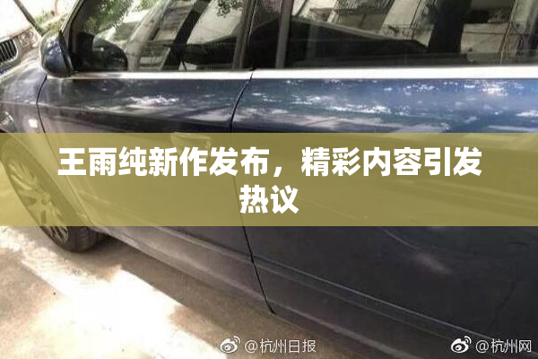 王雨纯新作发布，精彩内容引发热议