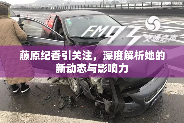 藤原纪香引关注，深度解析她的新动态与影响力