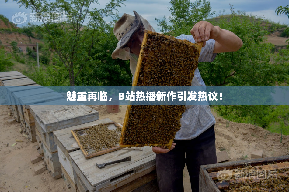 魅重再临，B站热播新作引发热议！