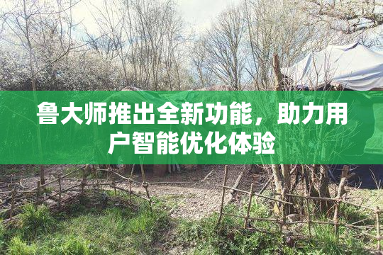 鲁大师推出全新功能，助力用户智能优化体验
