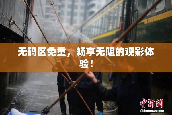 无码区免重，畅享无阻的观影体验！
