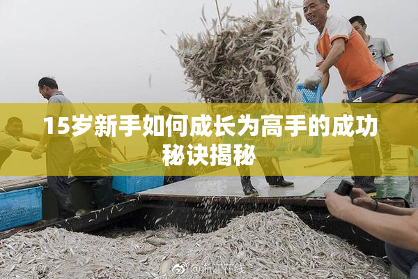 15岁新手如何成长为高手的成功秘诀揭秘