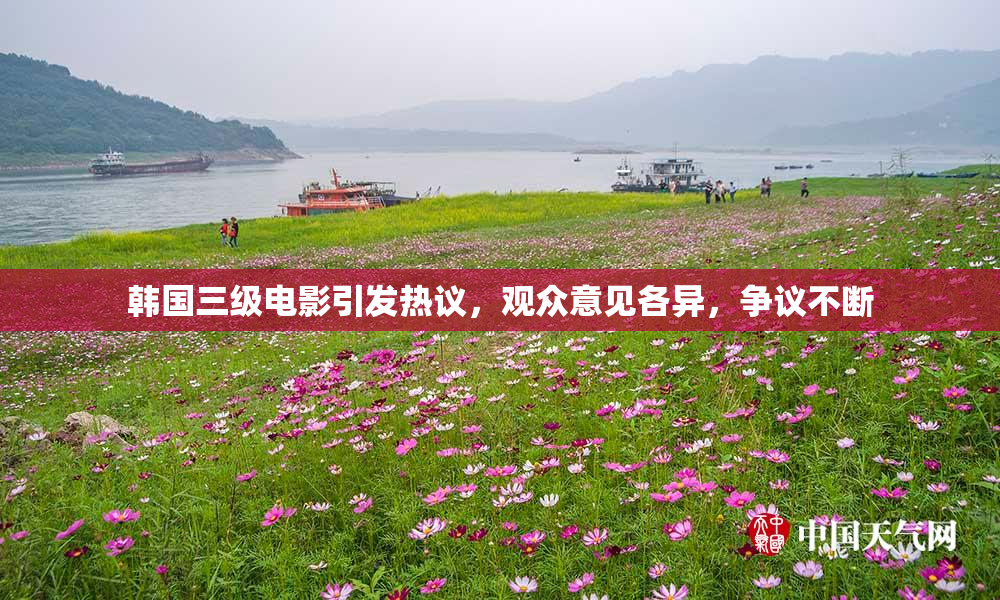 韩国三级电影引发热议，观众意见各异，争议不断