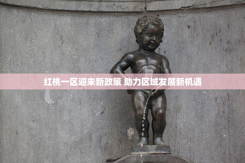 红桃一区迎来新政策 助力区域发展新机遇