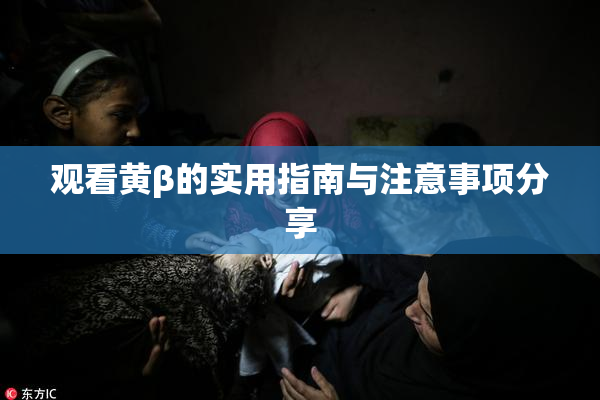 观看黄β的实用指南与注意事项分享