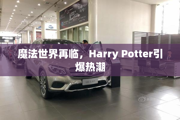 魔法世界再临，Harry Potter引爆热潮