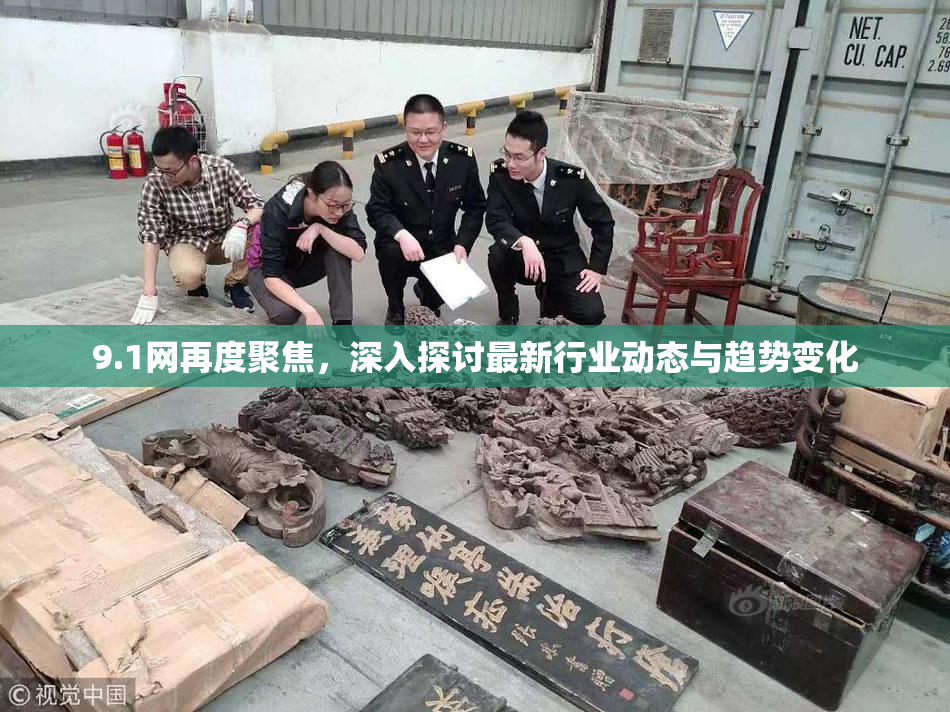 9.1网再度聚焦，深入探讨最新行业动态与趋势变化