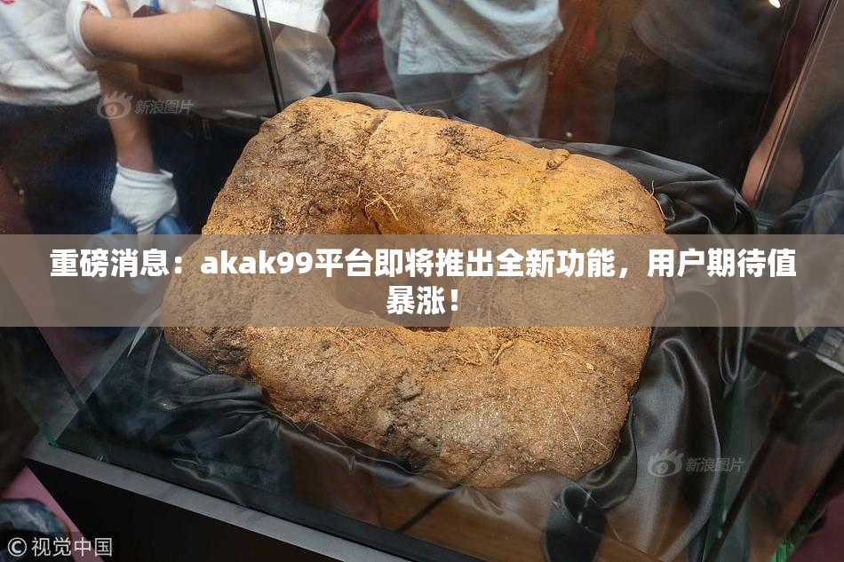 重磅消息：akak99平台即将推出全新功能，用户期待值暴涨！