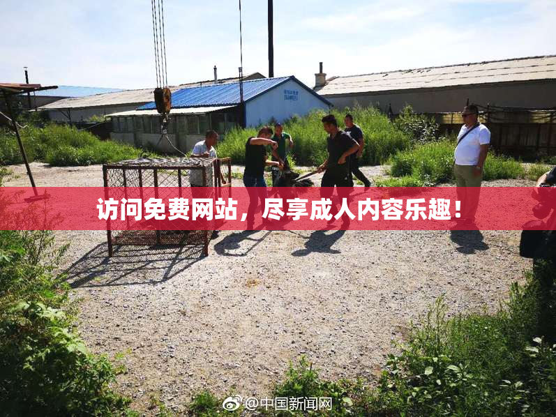 访问免费网站，尽享成人内容乐趣！