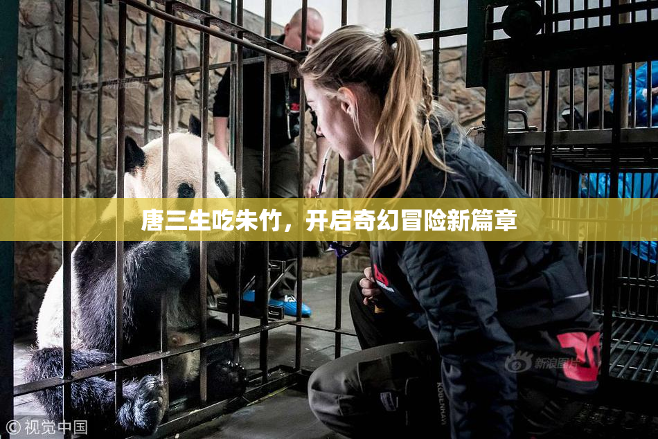 唐三生吃朱竹，开启奇幻冒险新篇章