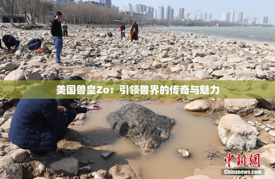 美国兽皇Zo：引领兽界的传奇与魅力