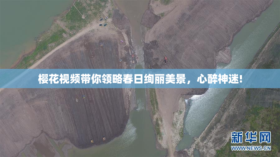 樱花视频带你领略春日绚丽美景，心醉神迷!