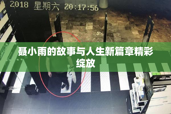 聂小雨的故事与人生新篇章精彩绽放