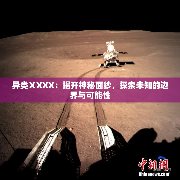 异类ⅩXXX：揭开神秘面纱，探索未知的边界与可能性