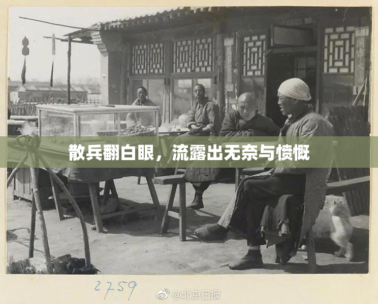 散兵翻白眼，流露出无奈与愤慨