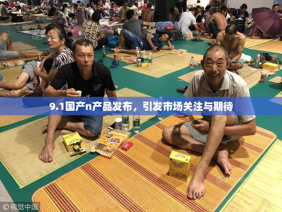 9.1国产n产品发布，引发市场关注与期待