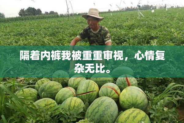 隔着内裤我被重重审视，心情复杂无比。