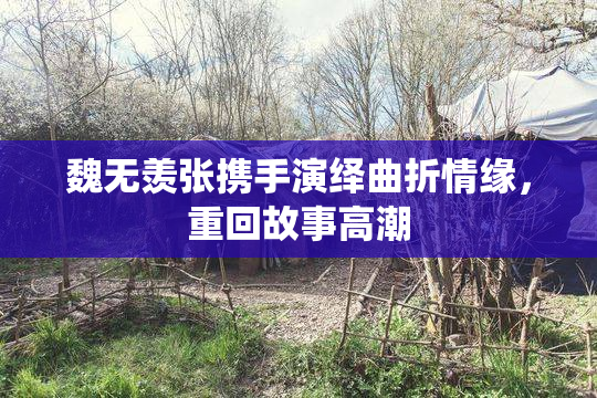 魏无羡张携手演绎曲折情缘，重回故事高潮