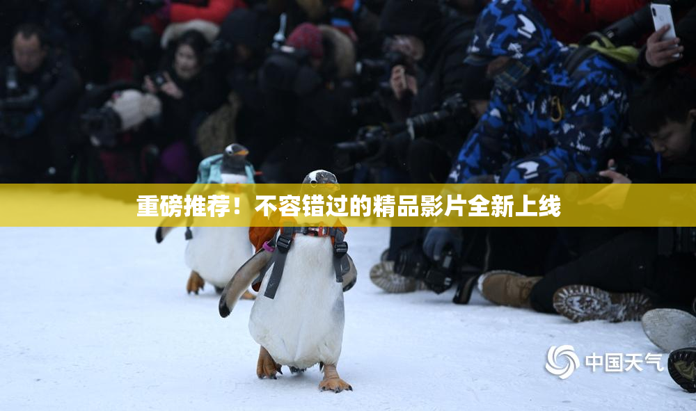 重磅推荐！不容错过的精品影片全新上线